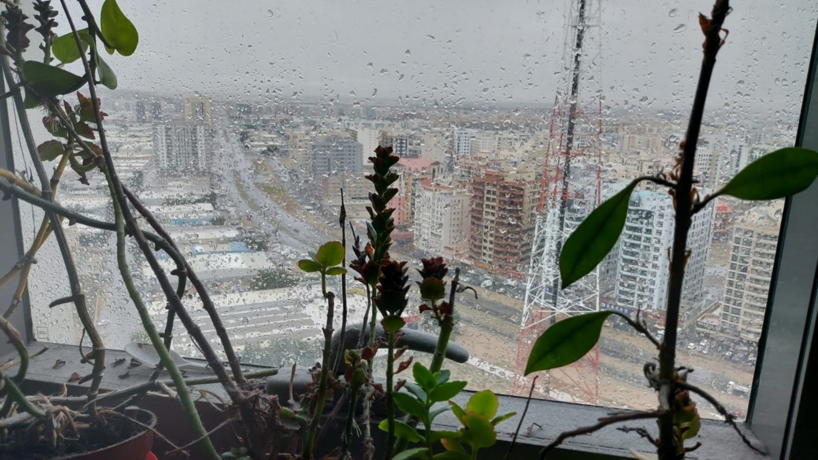 Rain in Uae