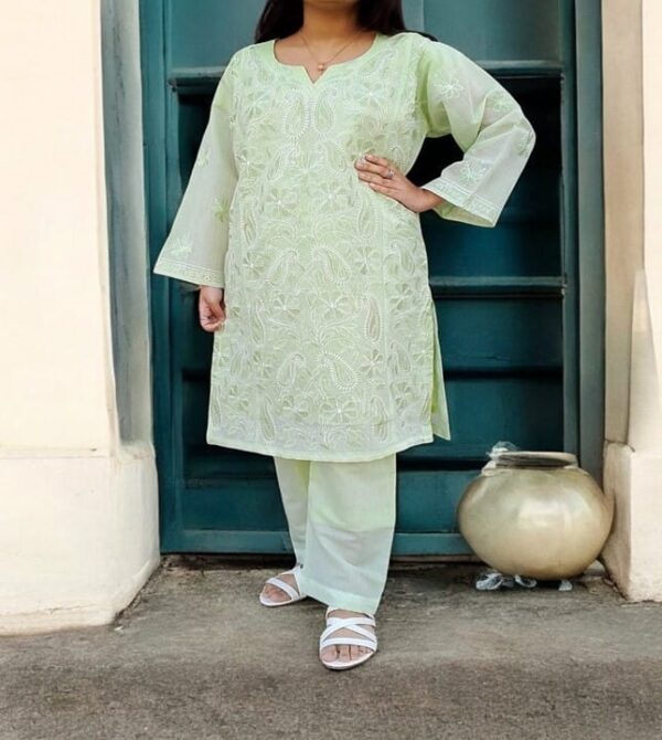 Heavy Lucknowi Chikankari 2 pc Suite - Image 2