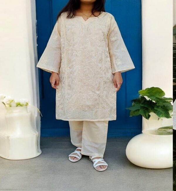 Stitched Heavy Lucknowi Chikankari 2 pc Suite - Image 2