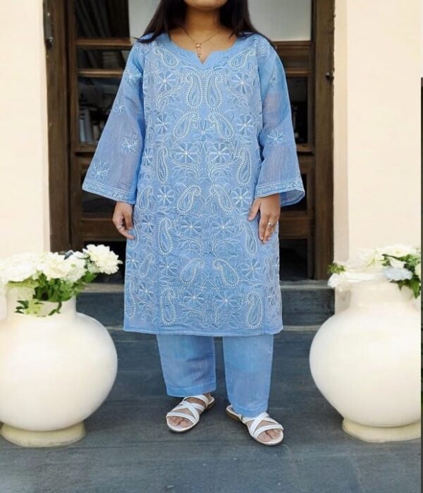 Stitched Heavy Lucknowi Chikankari 2 pc Suite - Image 2
